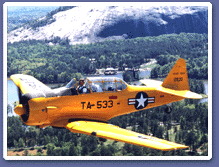 Biplane Ride Over Downtown Atlanta Flight